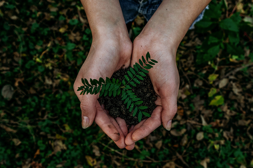 Partnered with Eco-Nonprofits